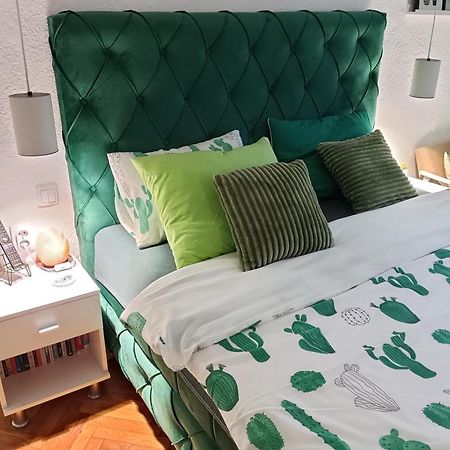 Green Cactus Rooms - Unique And Cozy House Senta Exterior photo