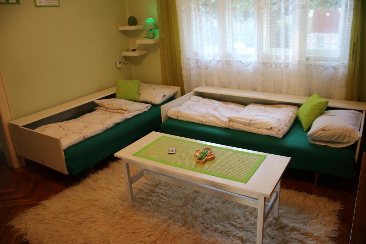 Green Cactus Rooms - Unique And Cozy House Senta Exterior photo