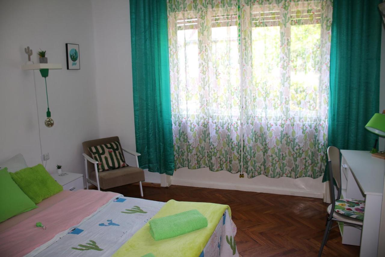Green Cactus Rooms - Unique And Cozy House Senta Exterior photo