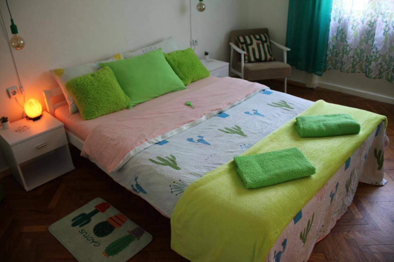 Green Cactus Rooms - Unique And Cozy House Senta Exterior photo
